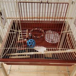 Parrot Bird Cage