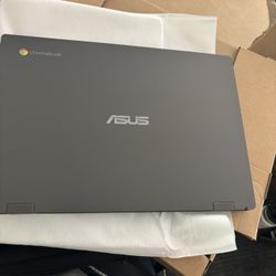 Brand New computer 