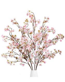 New North Redondo Beach - Robinson and Mckay