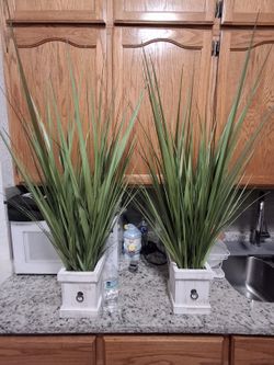 2 Plantas Artificiales