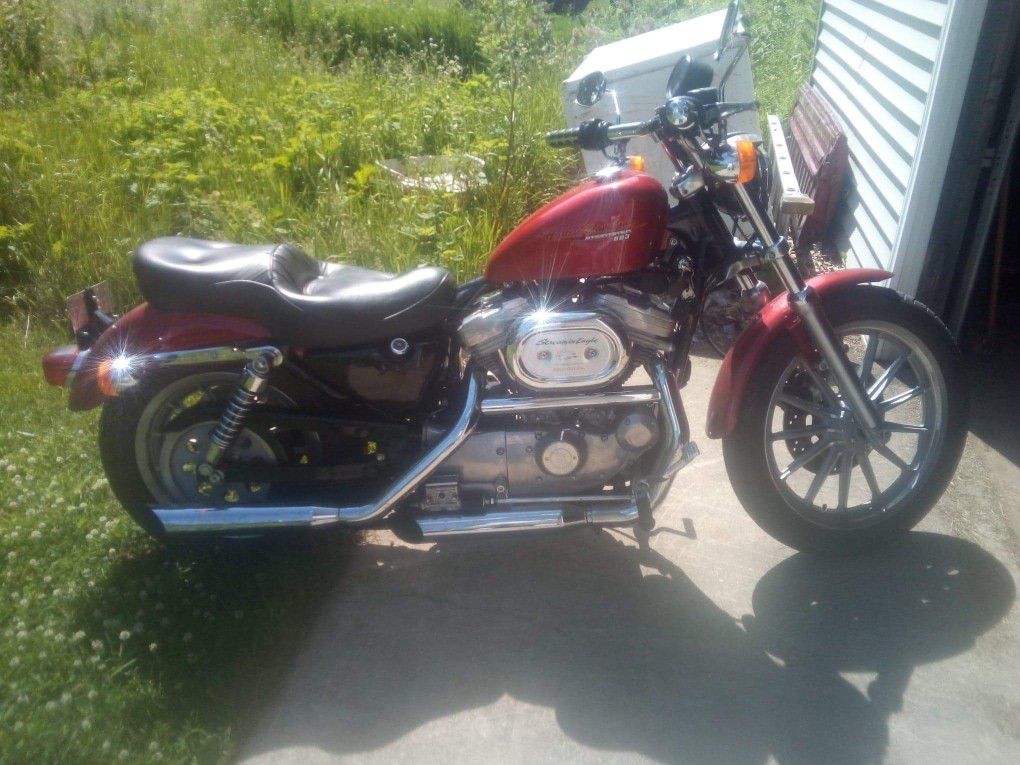 96 Harley Davidson Sportster 883 (2800 miles)