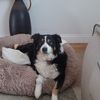 Sandra