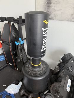 Everlast Punching Bag