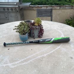 30inch/19ounce/drop11 easton XL3