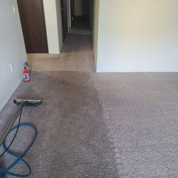 Steam Carpet Shampoo