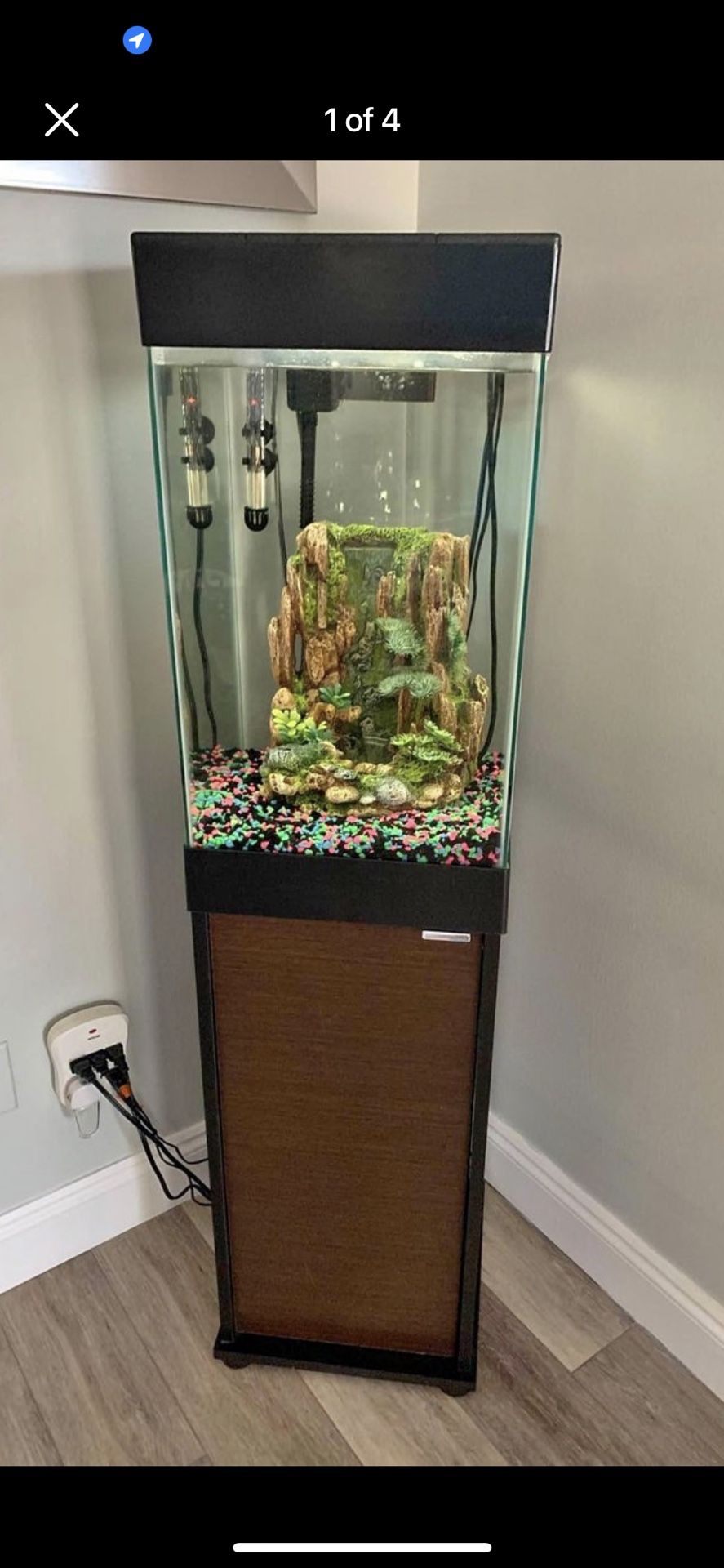 Fish Tank With Fish
