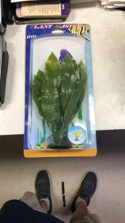 Plastic Plant 