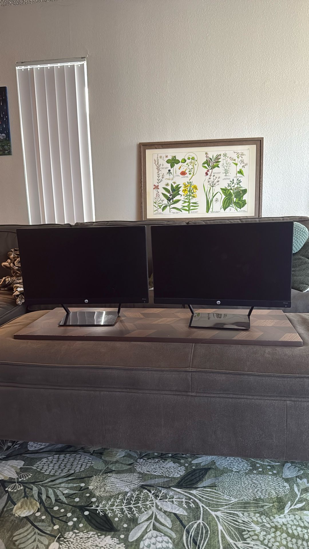 Two Matching HP 22cwa Monitor
