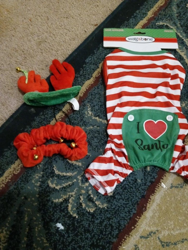 Canine Christmas Wear