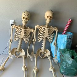Skeleton, Halloween Decorations $60 OBO