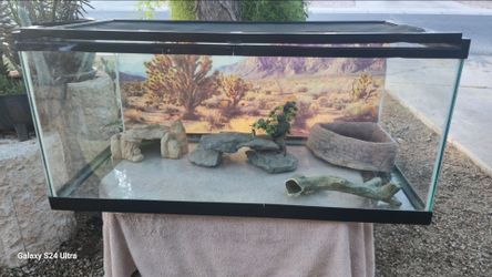 Terrarium