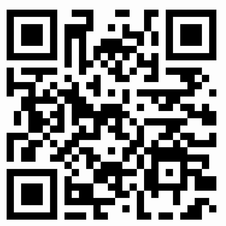 BLACK FIREPLACE bed - tall velvet headboard π€