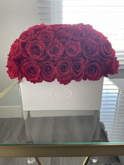 Venus et Fleur Roses