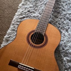 cordoba C7 Classical Nylon