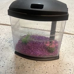 Fish Or BETA TANK 