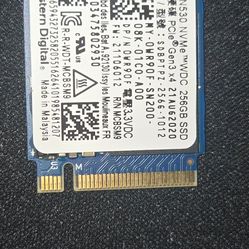 The Western Digital PC SN530 solid-state drive