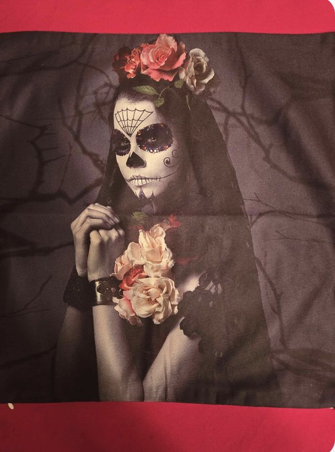 Skull Art Pillowcase (17”X17”)