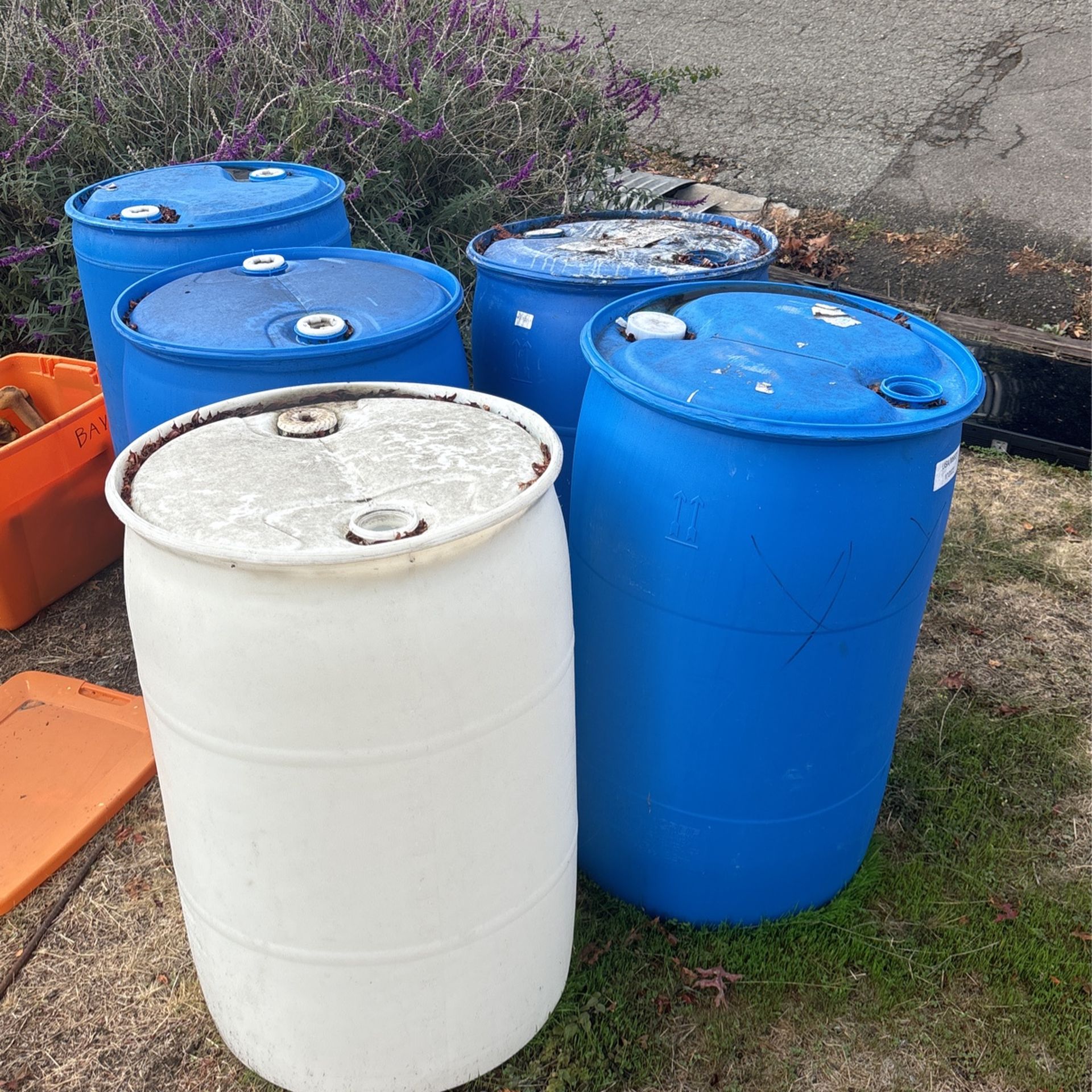 Empty Plastic 50 Gal Drums