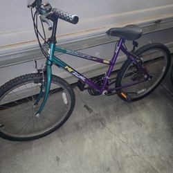 Female Bike In Excellent Condition 
