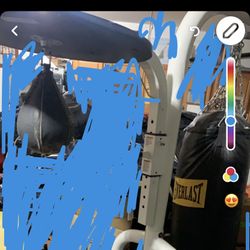 Punching Bag And Stand