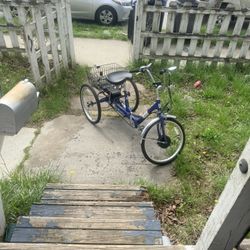 New Trike