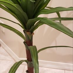 Fake/Artificial Plant