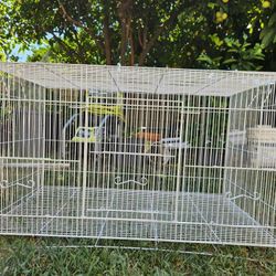 Bird Cage