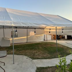 Carpa Renta