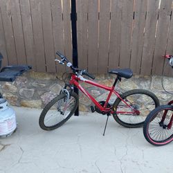 Roadmaster Mountain Bike 