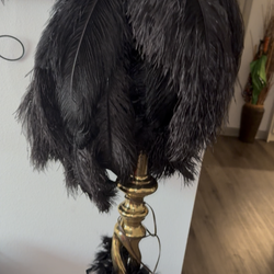 Black Feather Lamp