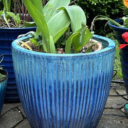 Beautiful Ceramic planters / Flower Pot - various sizes and prices