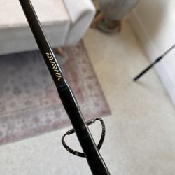 Dawa Saltiga Fishing Rod Salt water