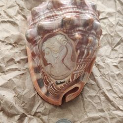 Sea Shell From Italy With Cameo