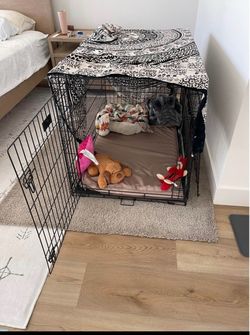 MidWest iCrate XL 48” Folding Dog Crate / Kennel – Large Breed