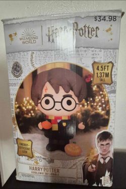 Harry Potter Lot