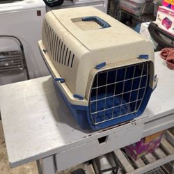Cat Kennel 