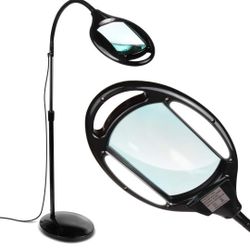 Magnifying Floor Lamp $70