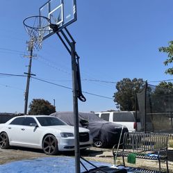 Basketball Hoop 