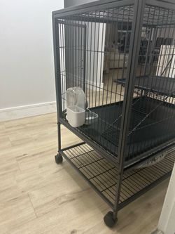 Ferret nation- Ferret Cage