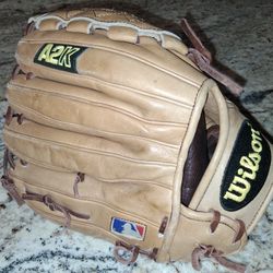 Professional Glove In Excellent Condition $100 Very Firm