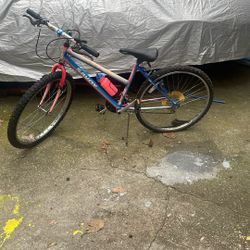 Savoy Bicycle Bike 15 Speed Shimano Vintage 