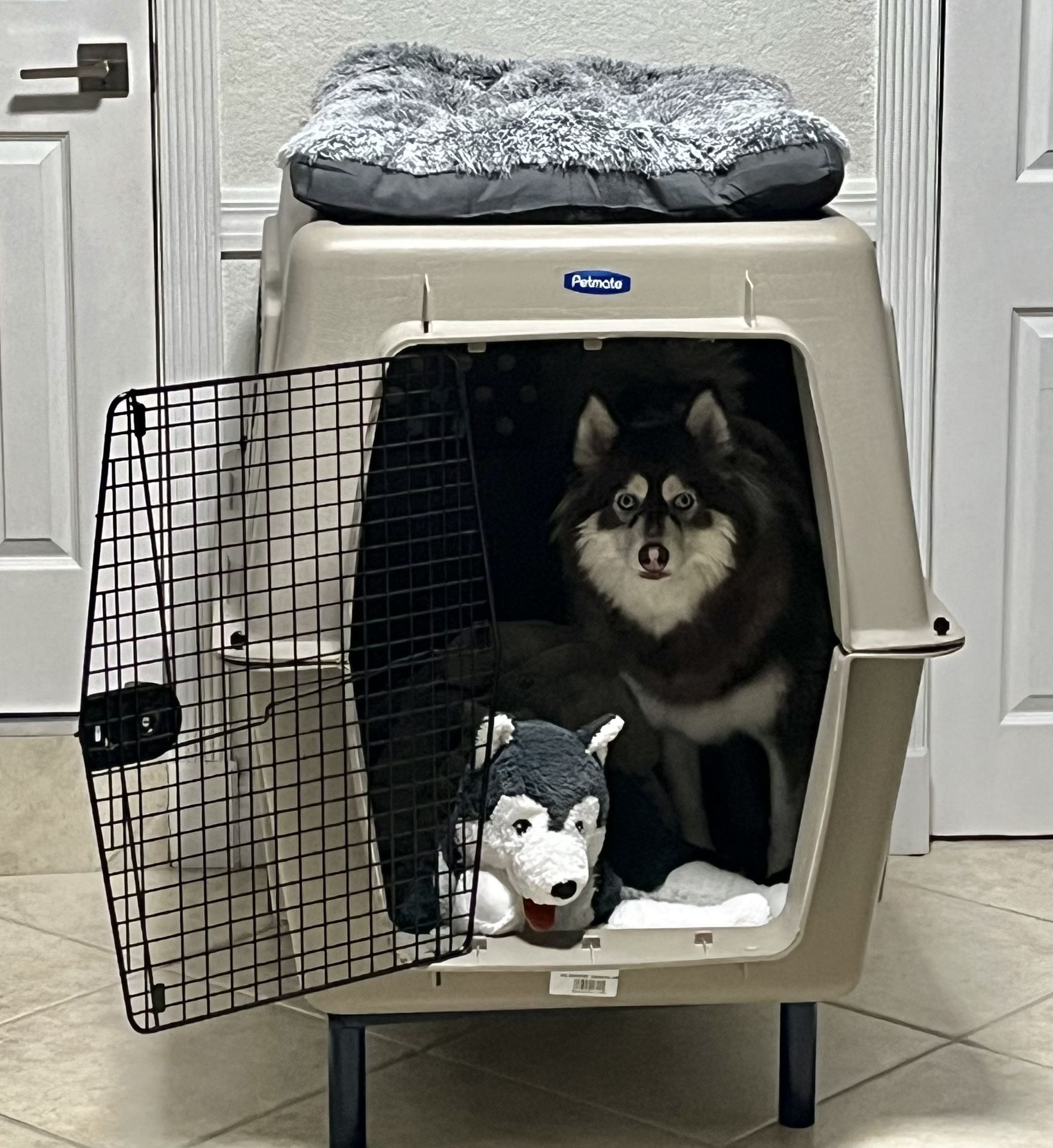 Large Dog Kennel for Sale in Homestead, FL OfferUp