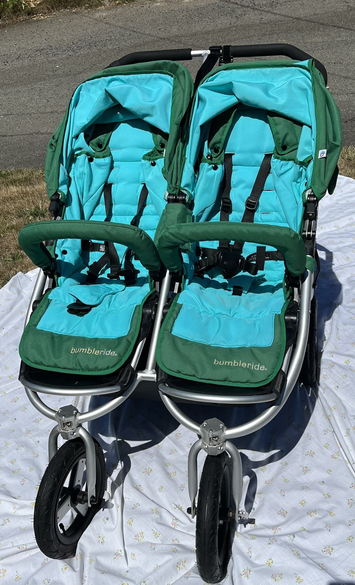 Bumbleride Indie Twin/Double Stroller in Green Papyrus