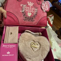 hot pink juicy bag 
