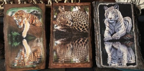 Transfer prints of big cats Onto wooden board
