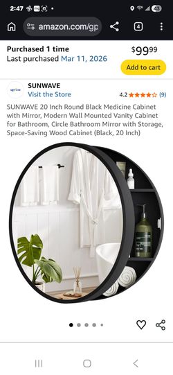 20 Inch Round Black Medicine Cabinet with Mirror