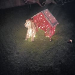 Outdoor Christmas decorations