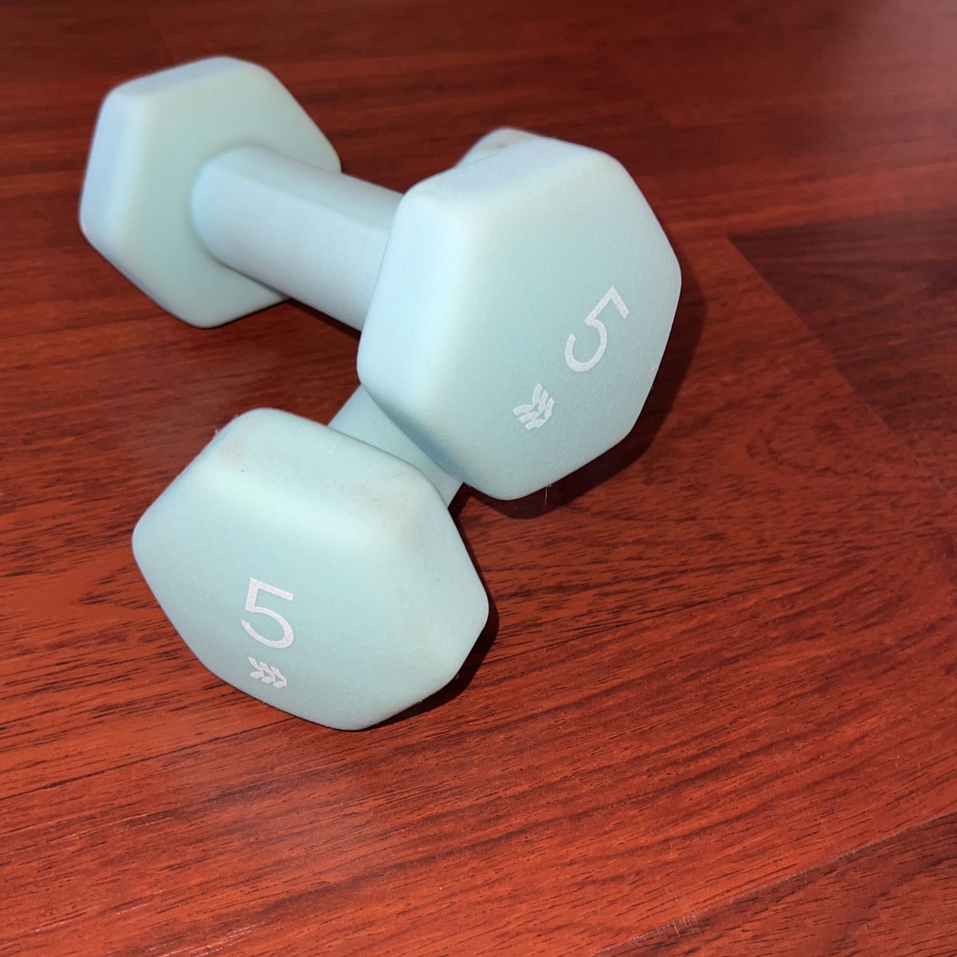 5lb Baby Blue Dumbbell Weights