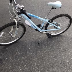 Moxie 24”