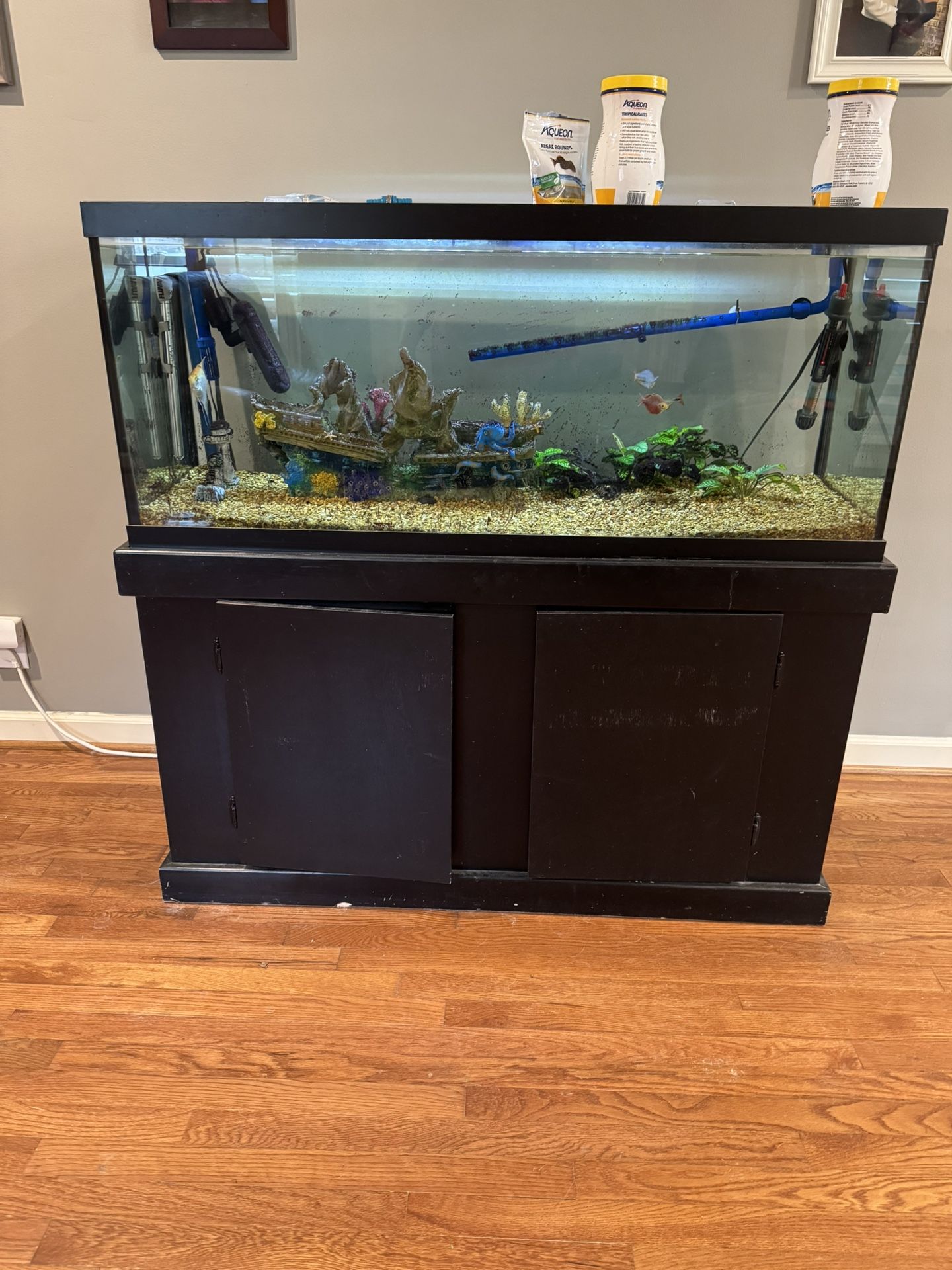 75 Gallon Fish Tank